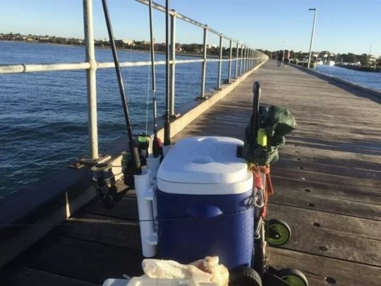 Fishing Trolley Awesome, 7 Easy Step Guide To Make Your Own